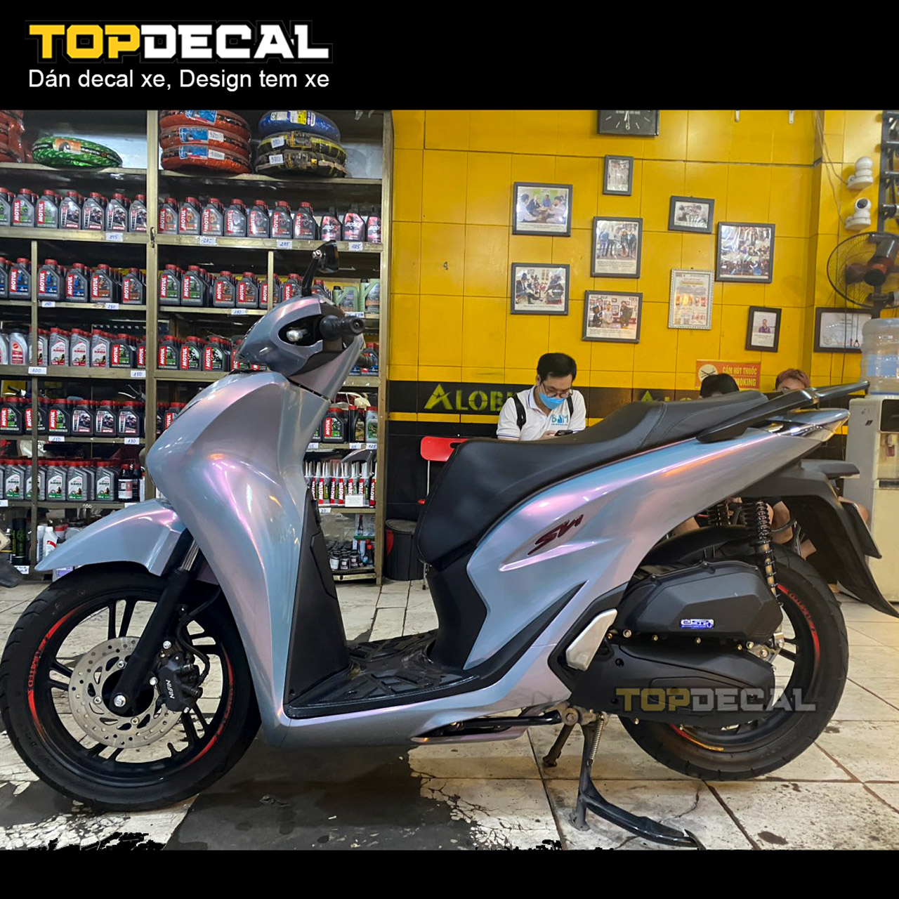 sh dán màu xi măng