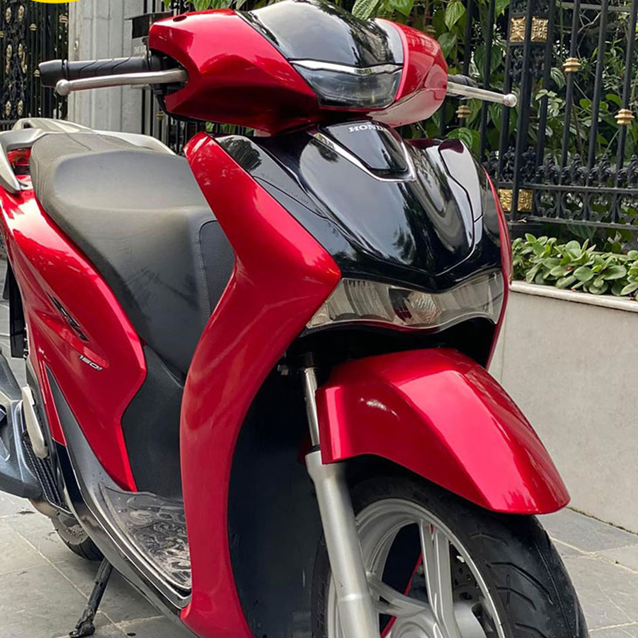 Xe Sh dán Decal màu đỏ lụa Bordeaux