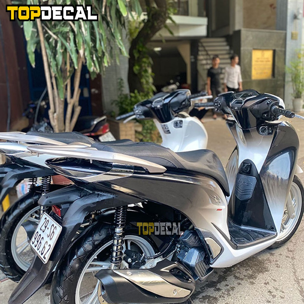 dán sh màu trắng 