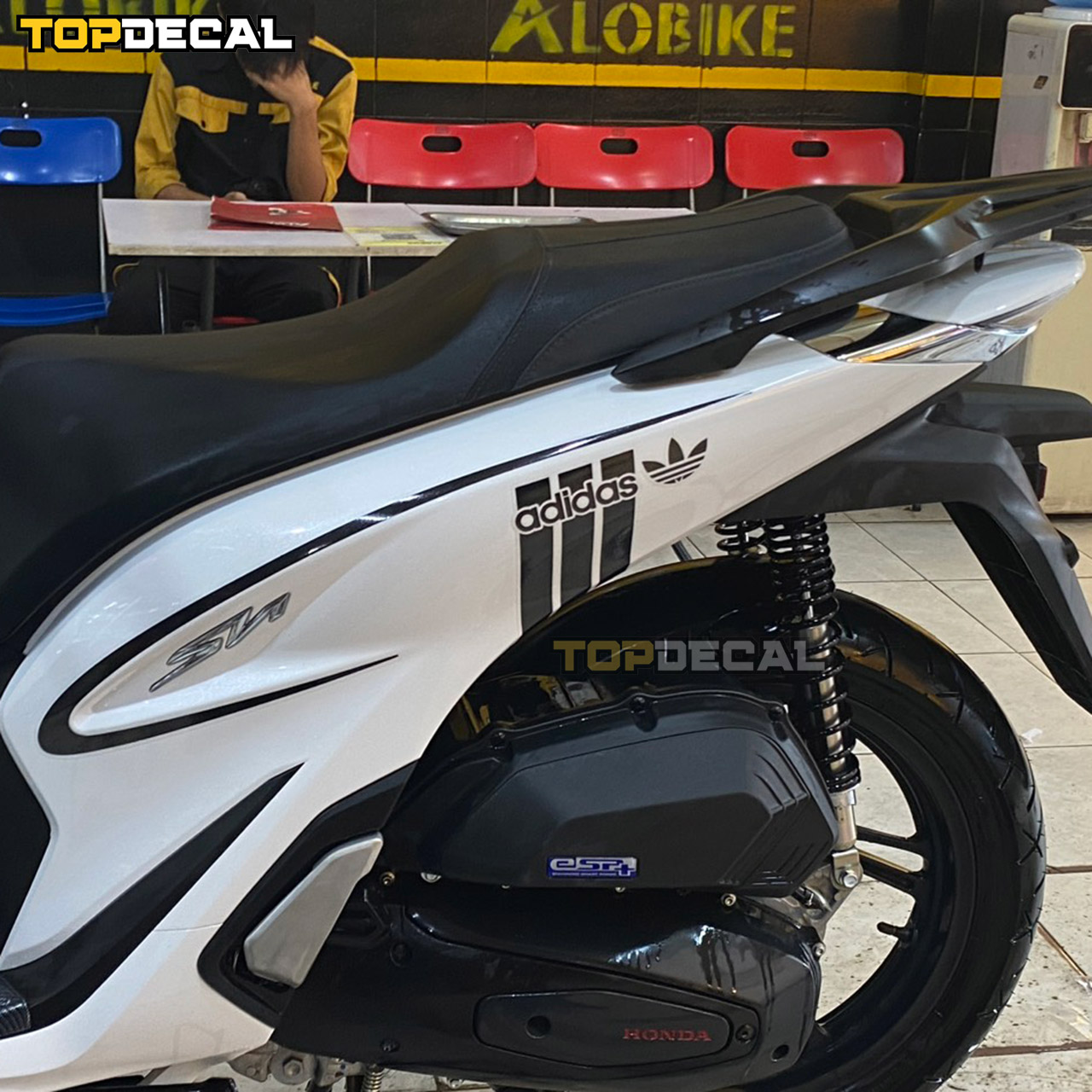 thiết kế tem xe theo yêu cầu