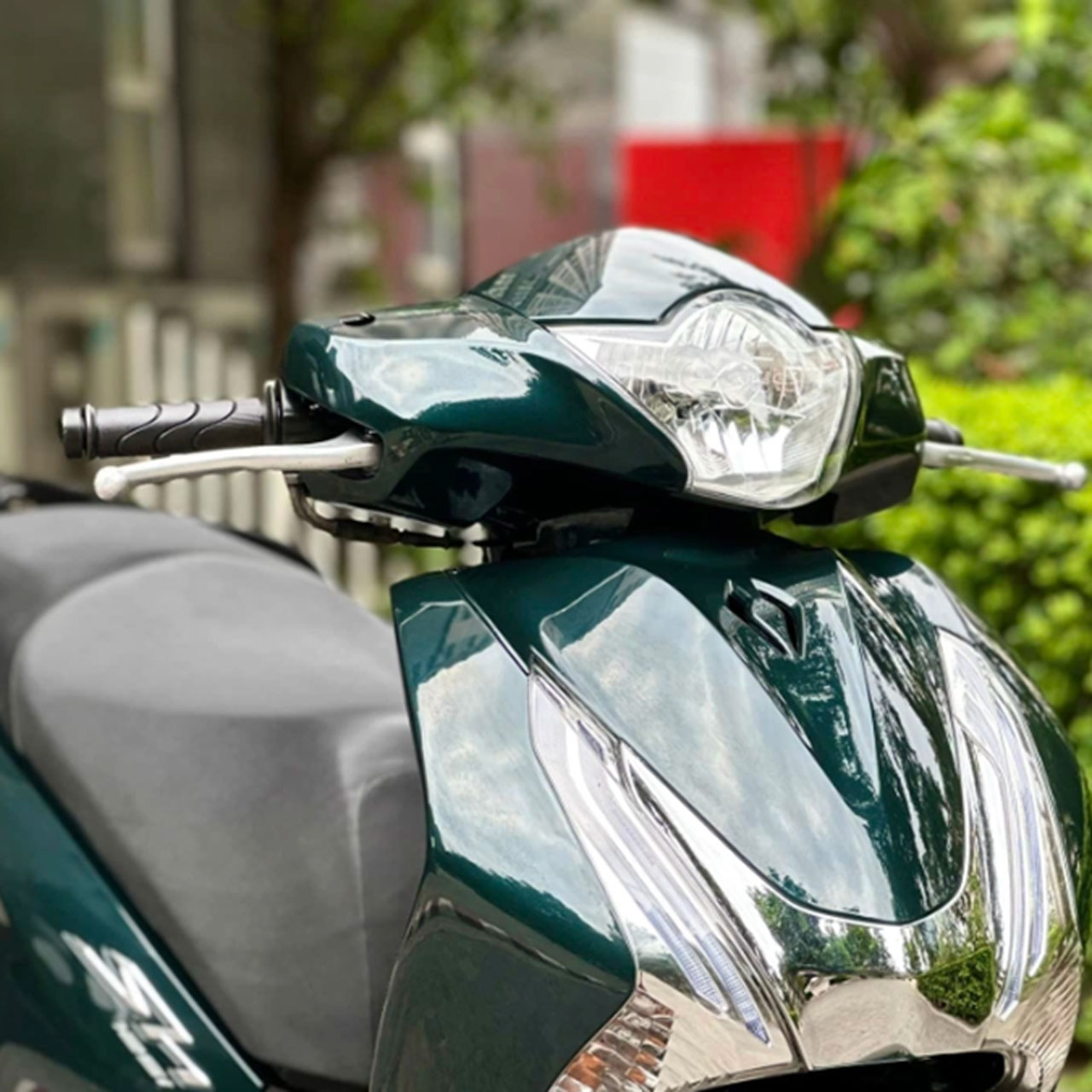 dán xe sh màu xanh rêu