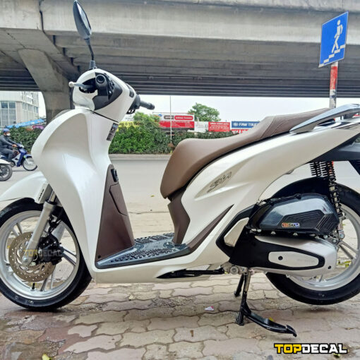 Dán Decal xe SH 2018 màu trắng sứ 3 lớp và Sporty - Ảnh 4