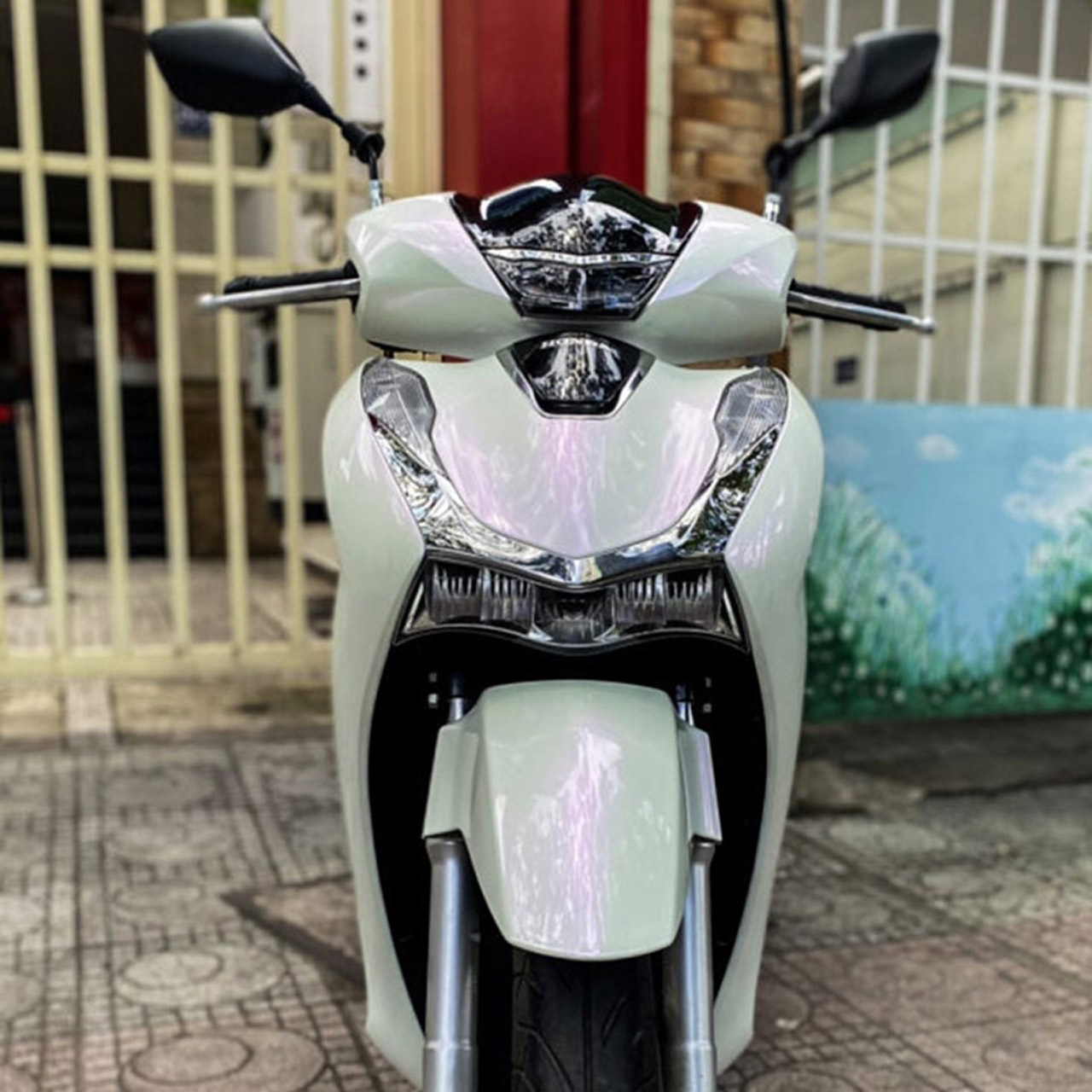 decal vision màu trắng ngọc trái