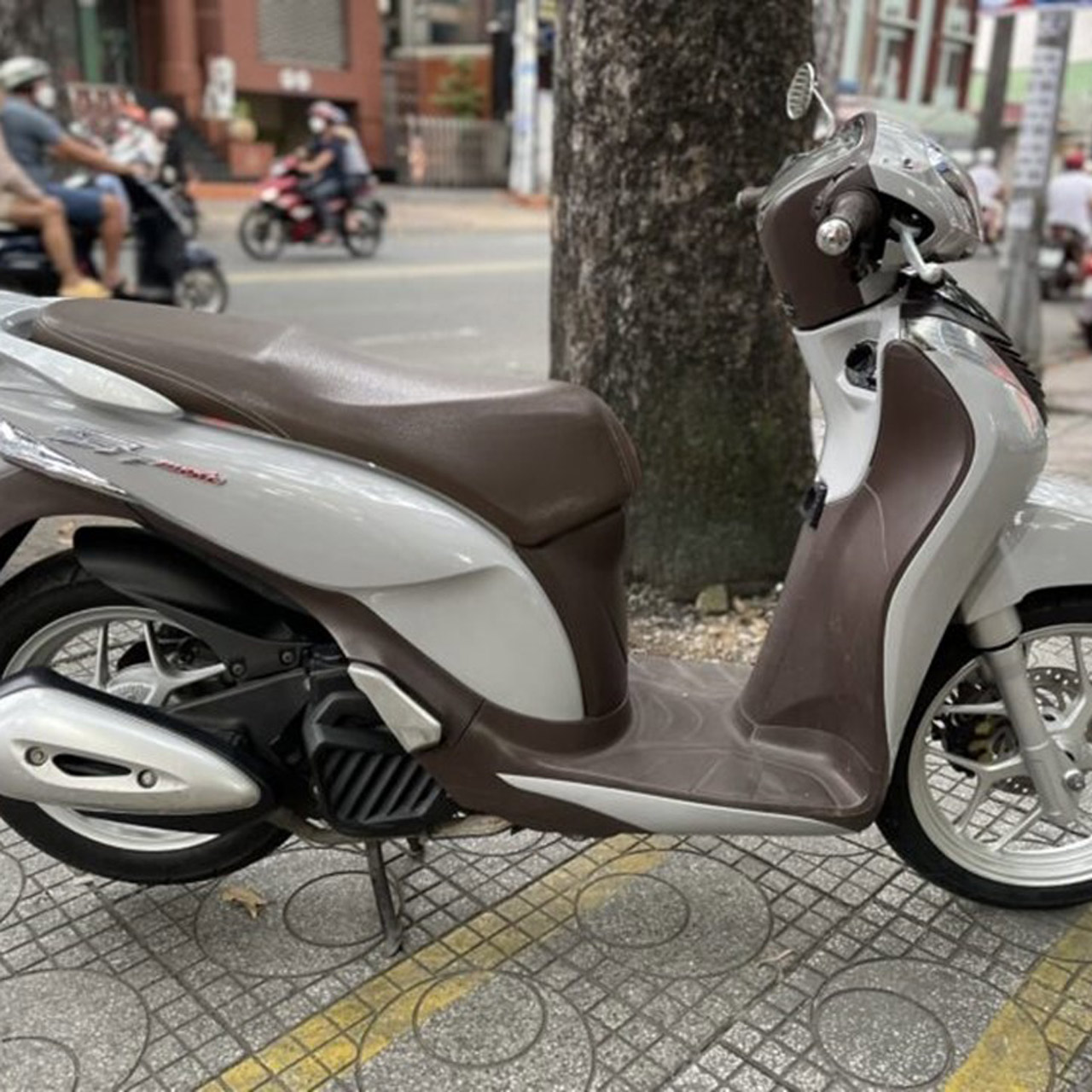 decal sh mode xám xi măng