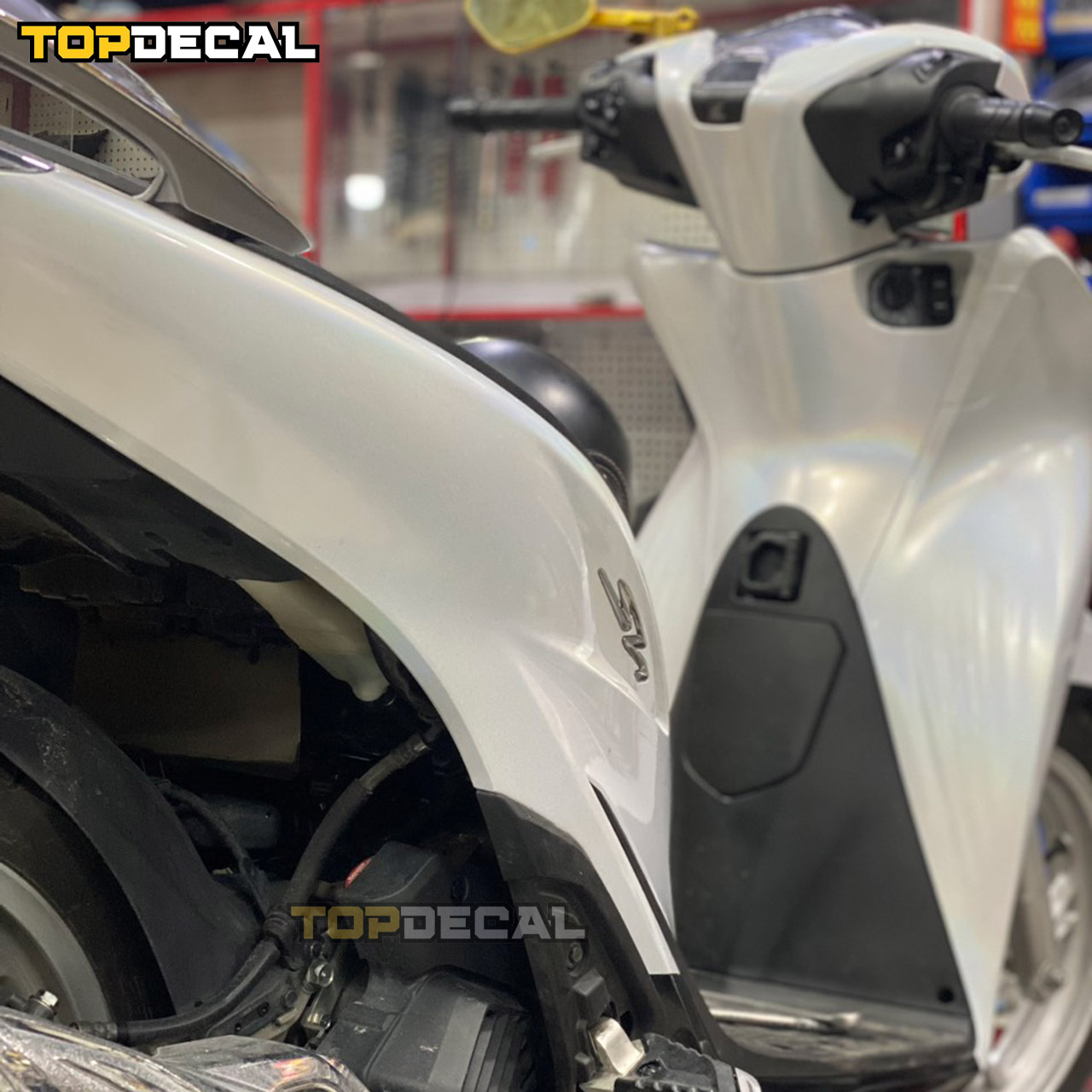 các mẫu dán xe sh đẹp