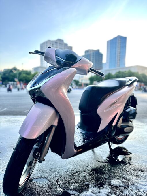 Dán xe Sh màu trắng ánh hồng hoa anh đào điểm đen - Ảnh 4