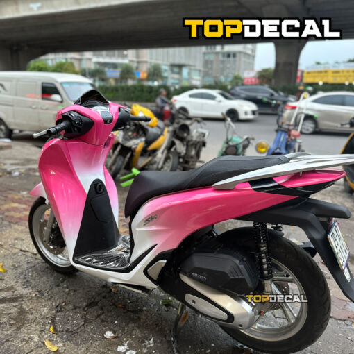 Dán decal xe SH màu Ombre đỏ trắng - Ảnh 4