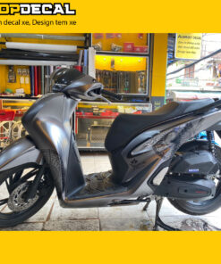 dám decal sh xám trống đồng