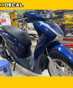 dan xe sh 2022 mau xanh tim