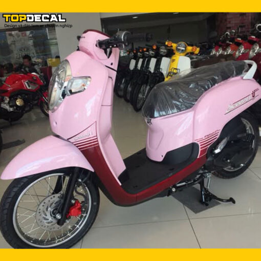 dán xe scoopy màu hồng pastel