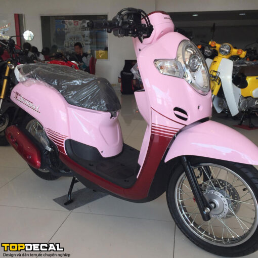 dán xe scoopy màu hồng pastel nữ tính