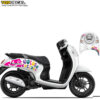 dán decal xe scp với chất liệu decal cao